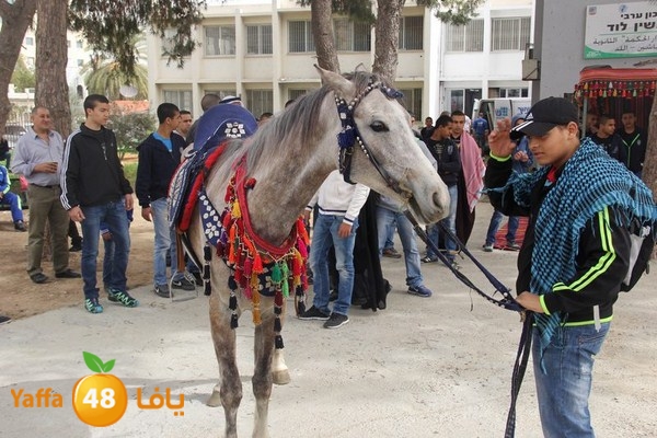 torath days 0304 (30).JPG